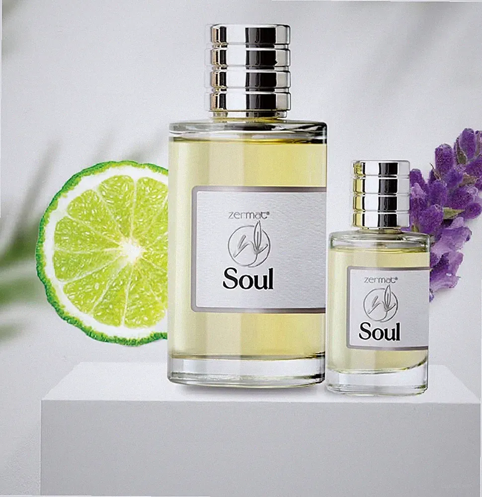 Soul Eau De Toilette For Men Zermat USA.Perfume De Caballero. Free Shipping